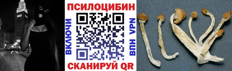 площадка как зайти магазин продажи наркотиков Мышкин Галлюциногенные грибы прущие грибы